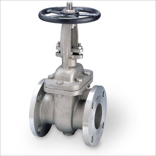 Stainless Steel 304 Gate Valve